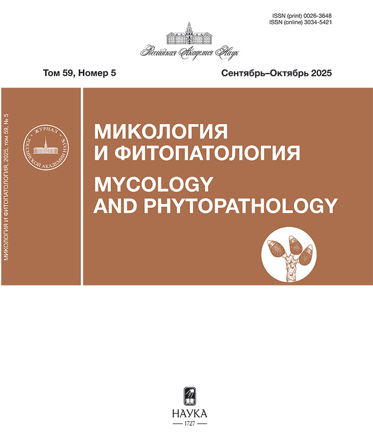 Логотип Заголовка Страницы