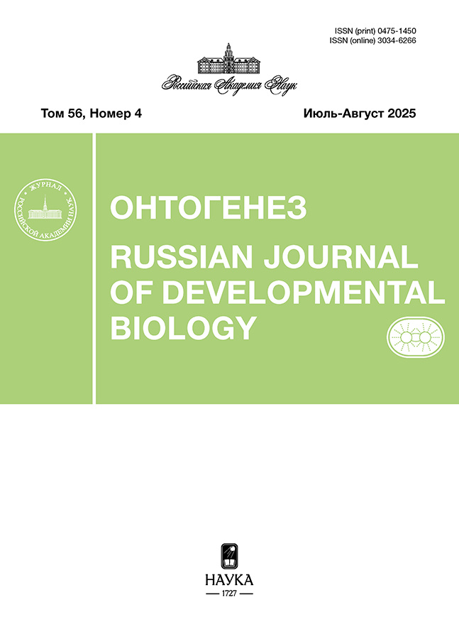 Логотип Заголовка Страницы